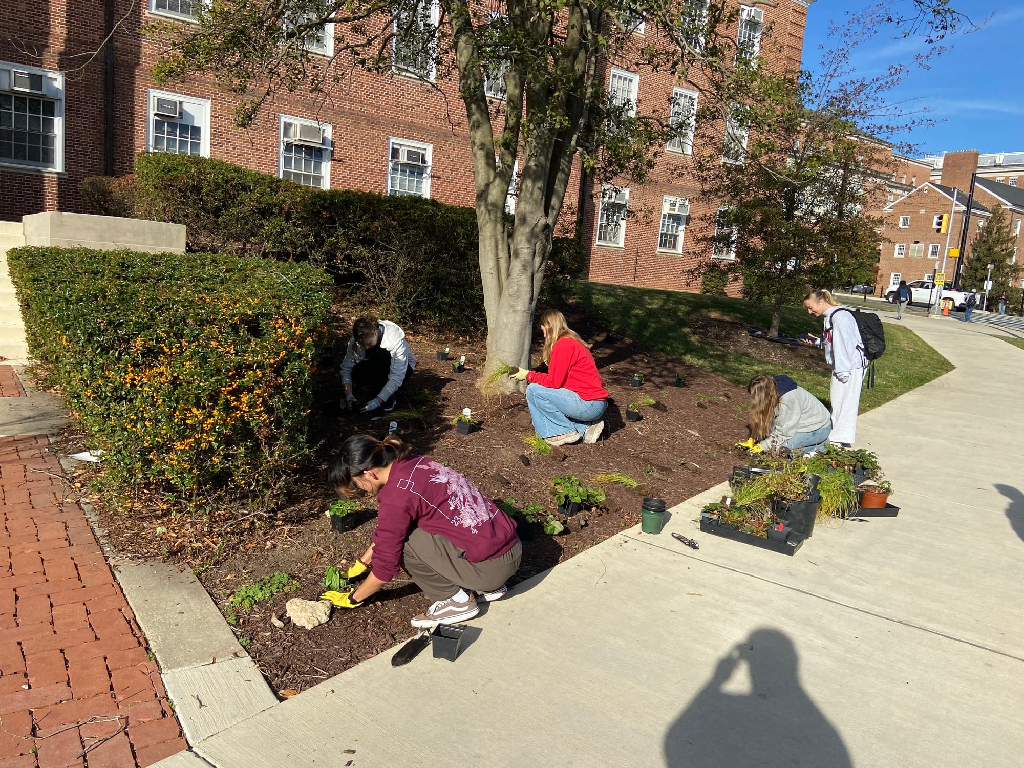 Weed It Wednesday: Students get involved in UMD’s ‘living campus’