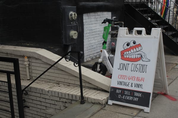 Joint Custody: D.C. record store and "general freak emporium"